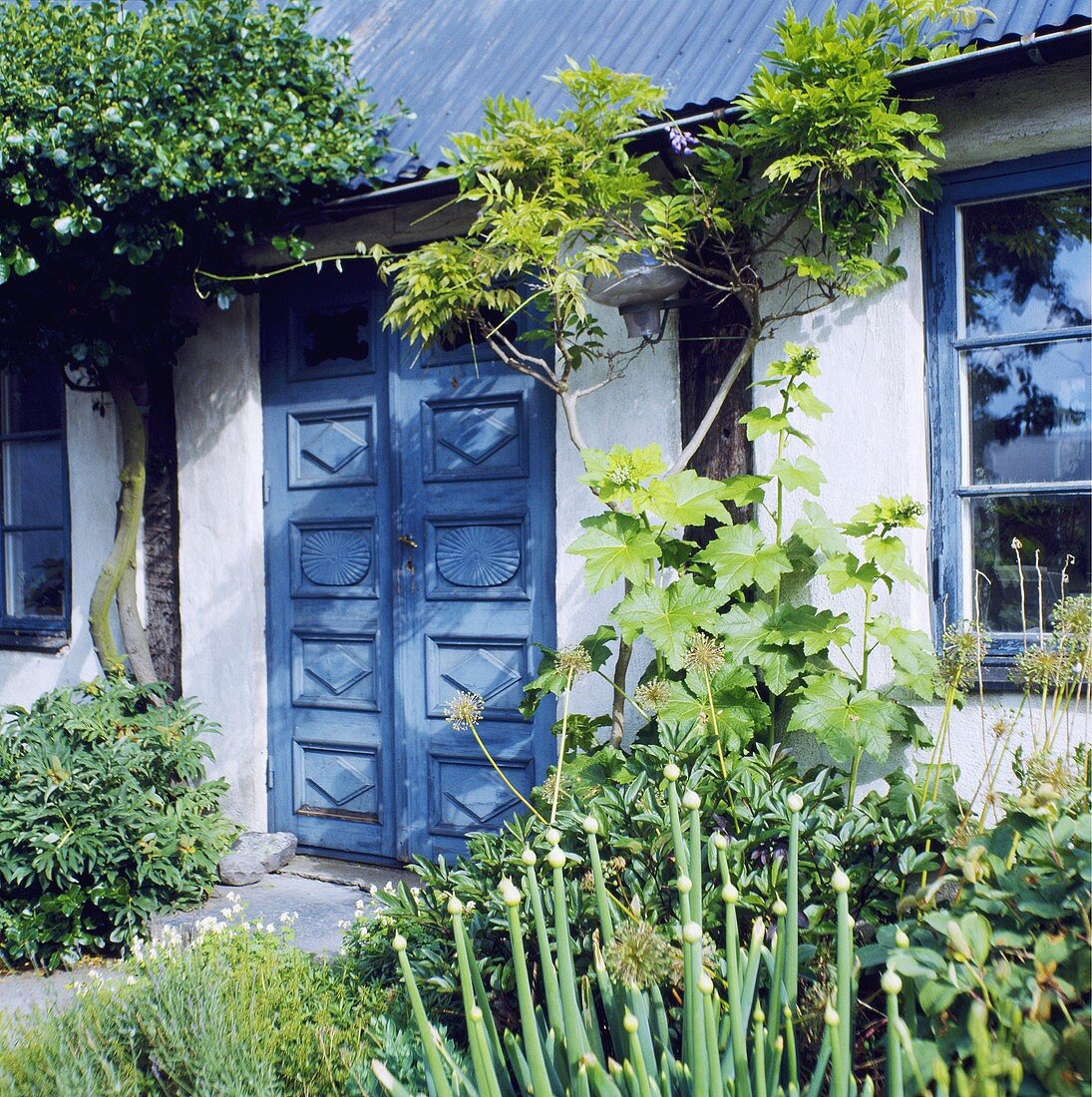 Weisses Landhäuschen mit blauer Doppeltür und Fensterrahmen
