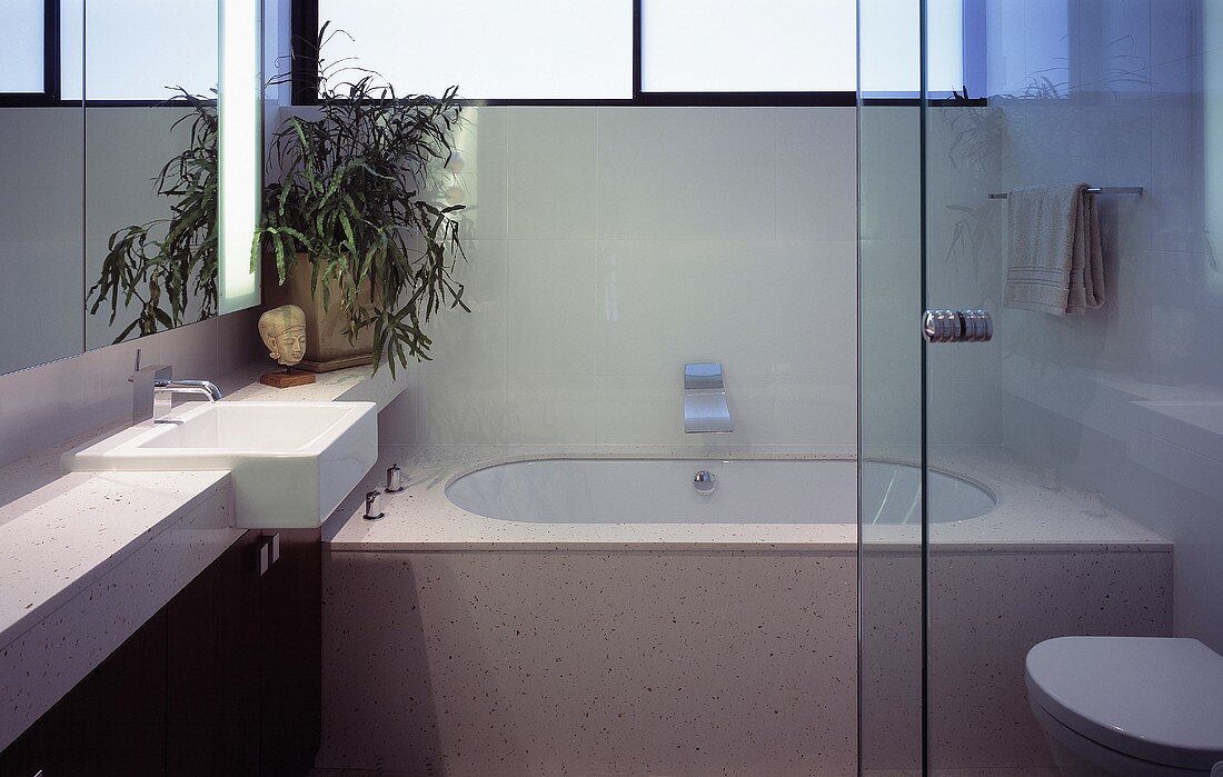 Modernes Bad mit Trennwand aus Glas im Designerstil