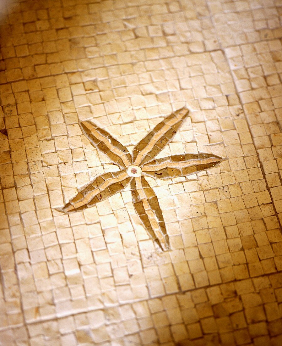 Mosaikfliesenboden mit Sternintarsie