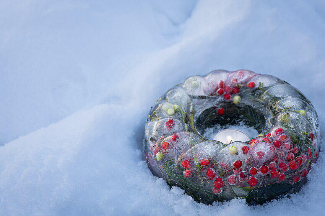 Weihnachtsdekoration mit Eisring in Kuchenform, gefüllt mit Stechpalme, Mistel, Zapfen und Nadeln im Schnee