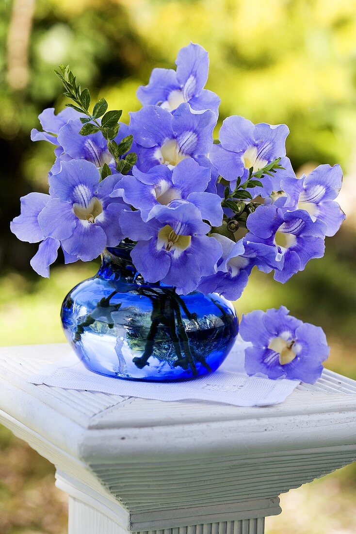 Purple allamandas in a blue glass vase
