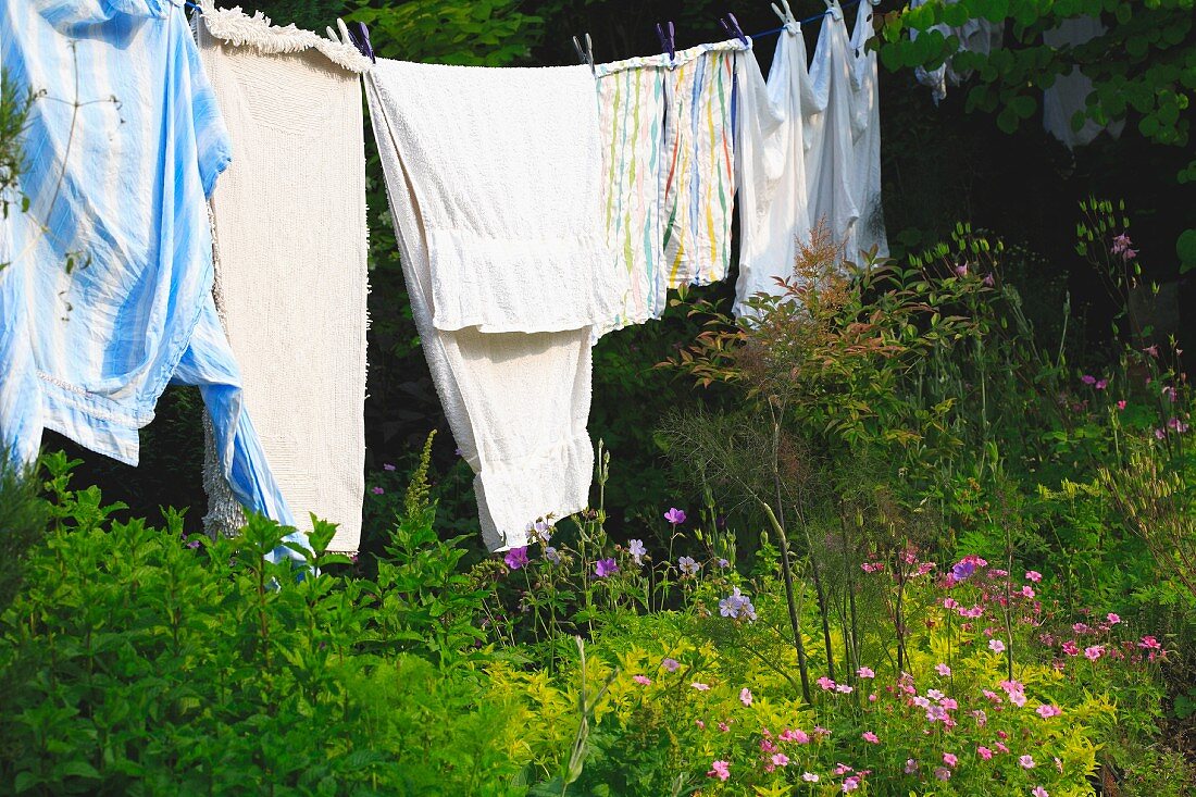 Helle Wäsche auf Leine in wildem Garten auf dem Land