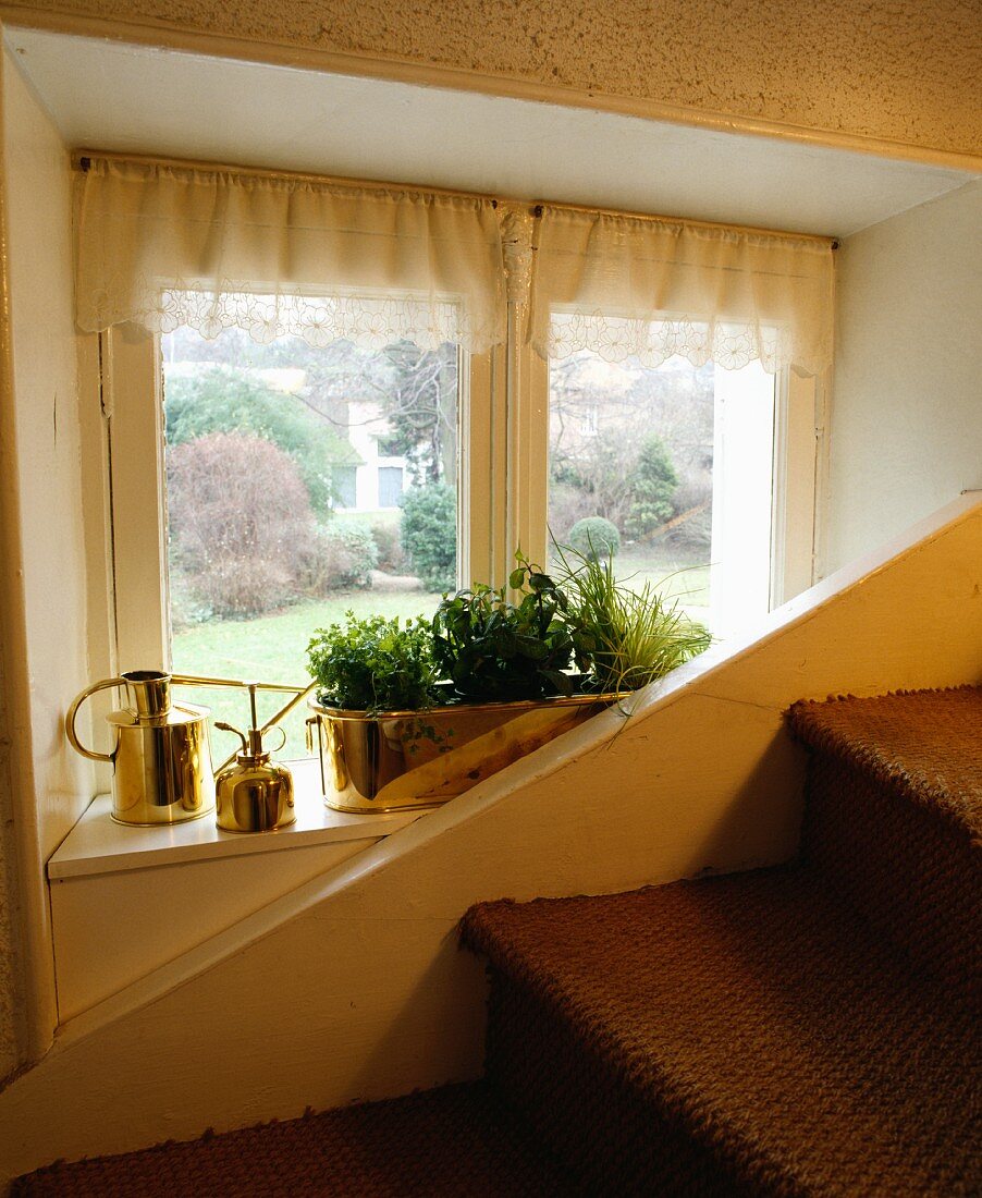 Mit Sisal belegte Treppenstufen an weisser Holzwange vor kleinem Fenster mit Übertopf und Giesskannen in Messing