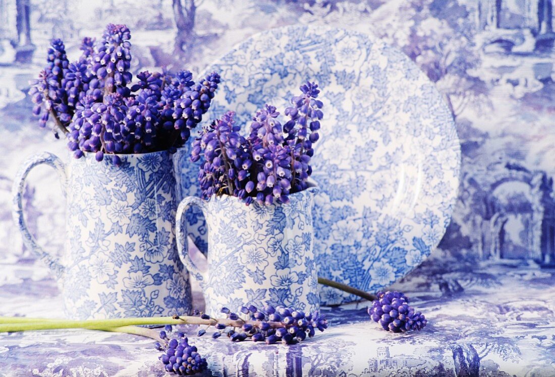 Lavendelblaues Stillleben mit Traubenhyazinthen in zart gemusterten Porzellankrügen vor Stoff mit monochromem Landschaftsmotiv