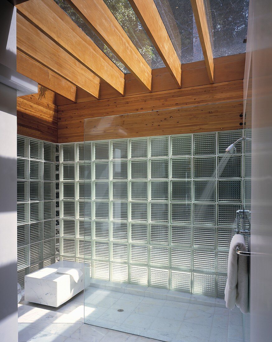 Glasbausteinwände in einem Badezimmer mit Dusche