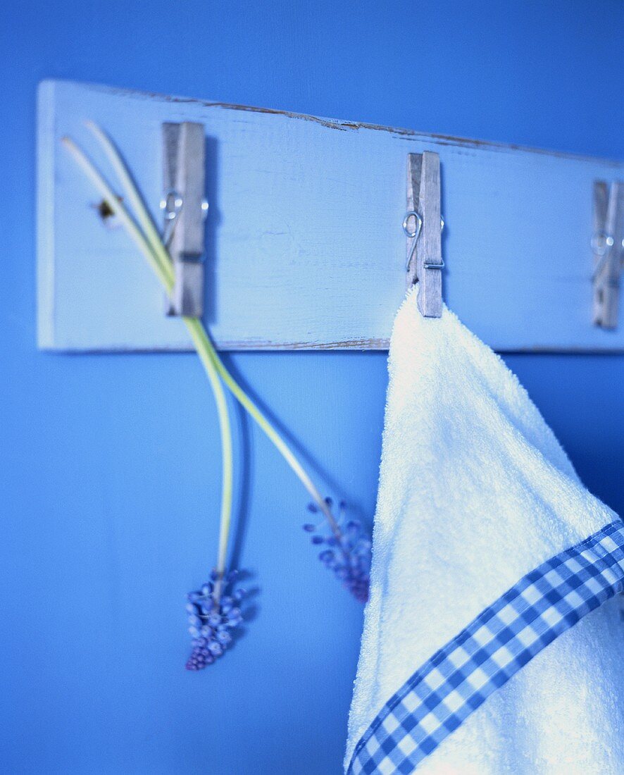 Handtuch und Blumen mit Wäscheklammern befestigt auf einem Brett auf blauer Wand