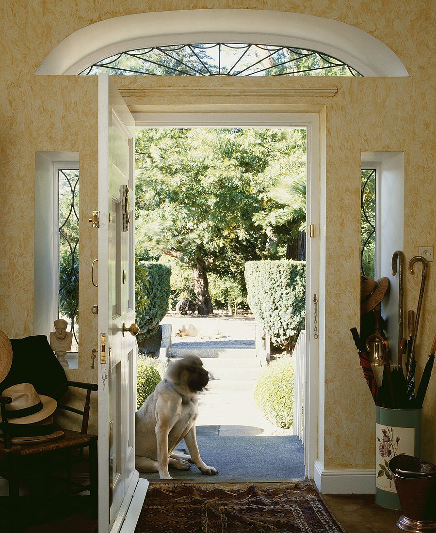 Hund sitzt an der geöffneten Tür des georgischen Hauses mit Blick auf den Garten