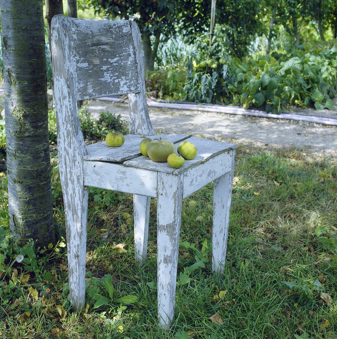 Altes Holzstuhl unter einem Baum