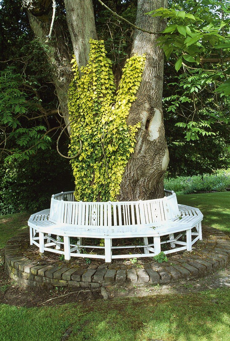 weiße Holzbank um Baum im sommerlichen Garten
