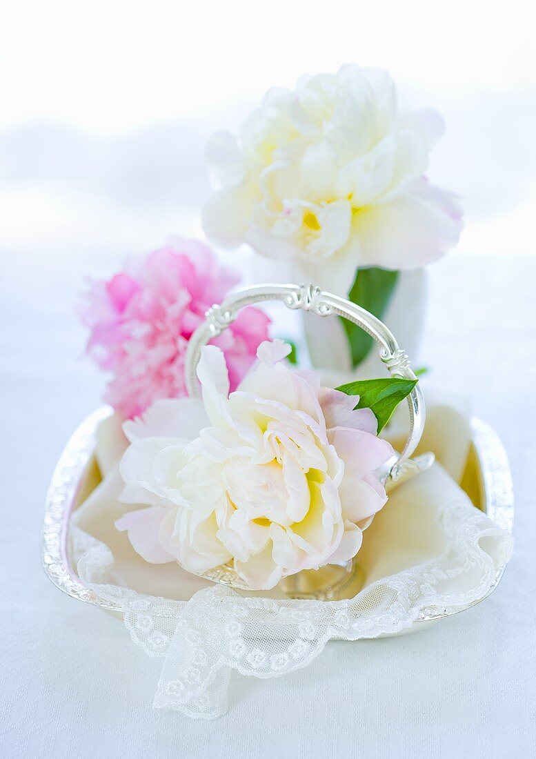 Peonies on a lace cloth in a silver bowl