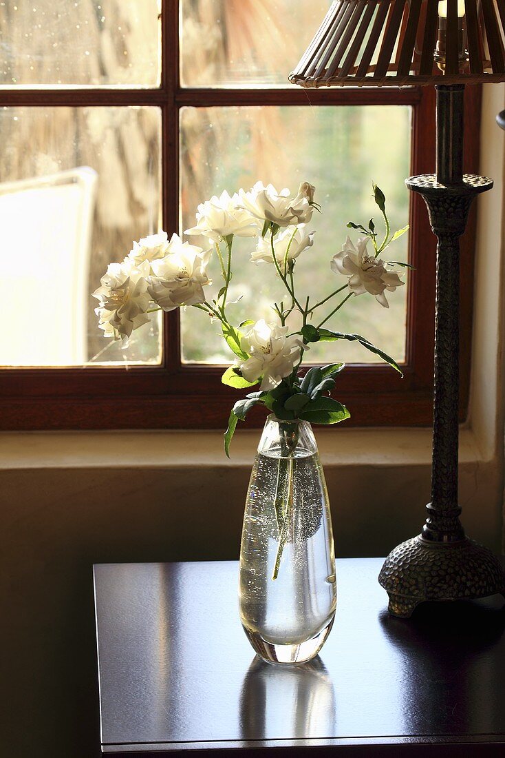 Vase mit weissen Rosen neben Tischlampe (Nabygelen, Wellington, Western Cape, SA)