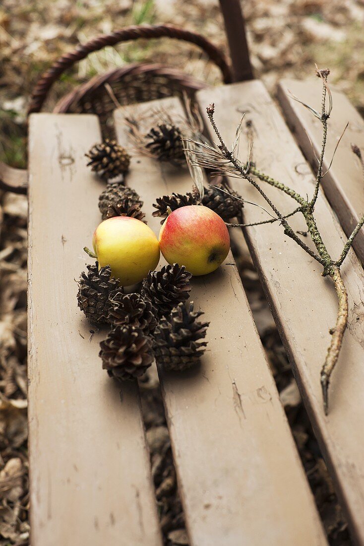 Zwei Äpfel und mehrere Kiefernzapfen auf Holzbank