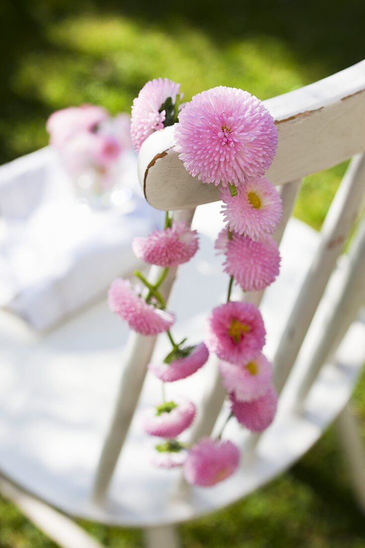 Blumenkette aus rosa Bellis hängt über Stuhllehne im Garten