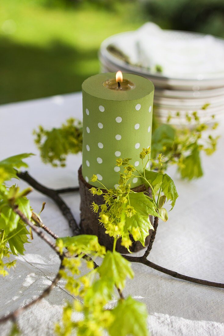 A green candle and a sprig of Norway maple on a table in the open air