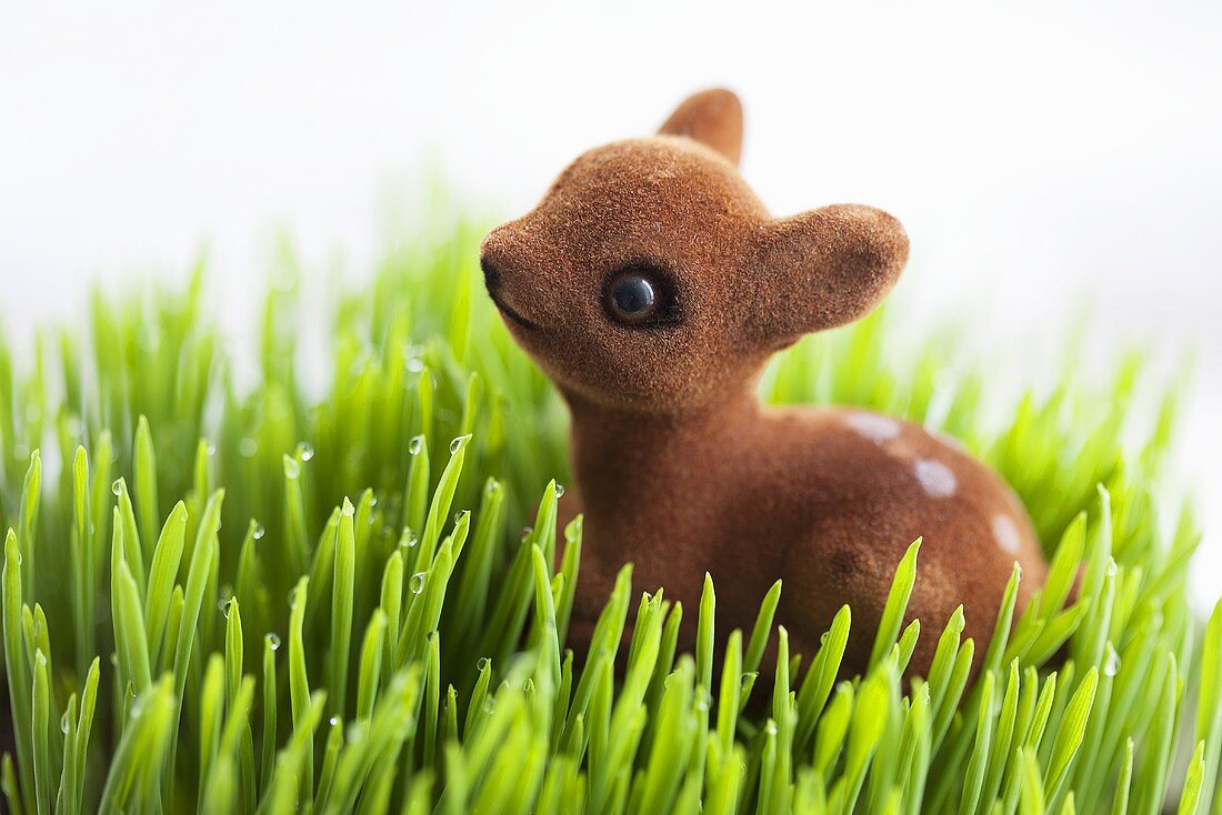 A fawn toy in dewy grass