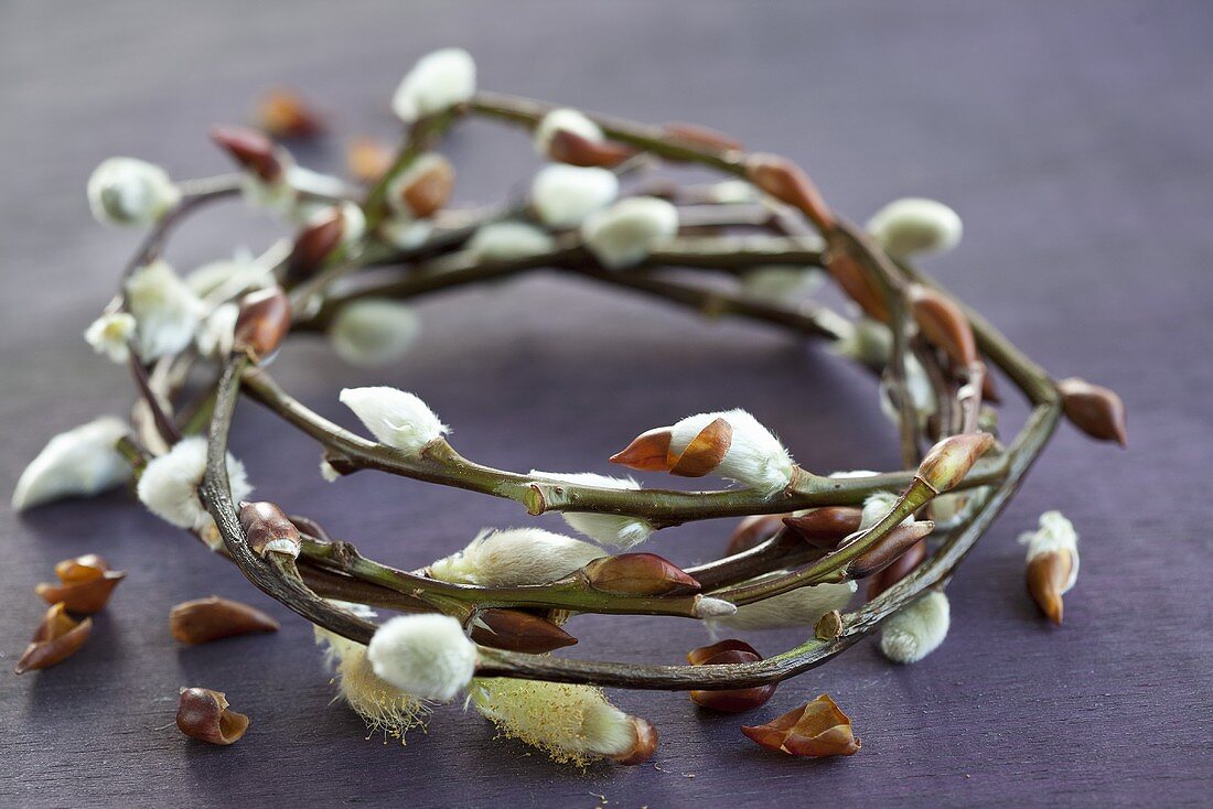 A wreath of willow catkins