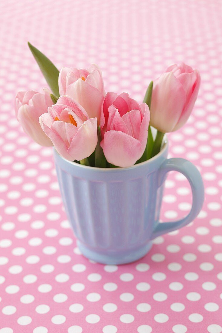 Pinkfarbene Tulpen in Tasse