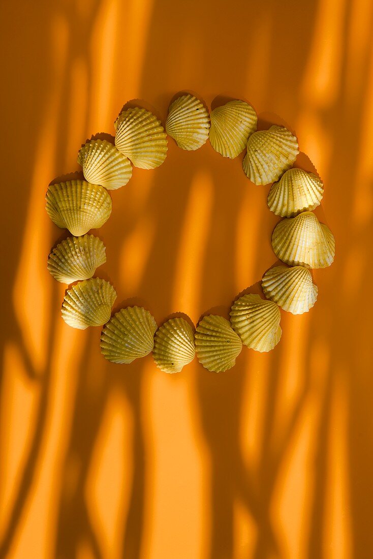 Kreis aus gelb gefärbten Muscheln mit Lichtreflexen