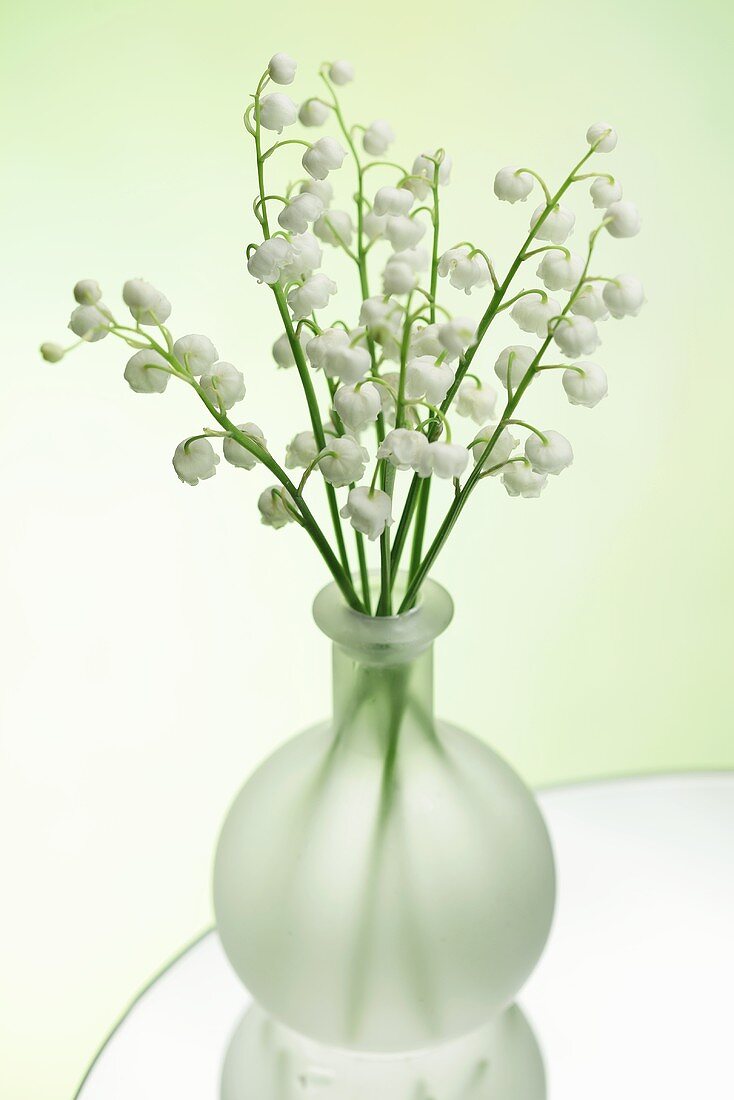 Lily of the valley in a vase
