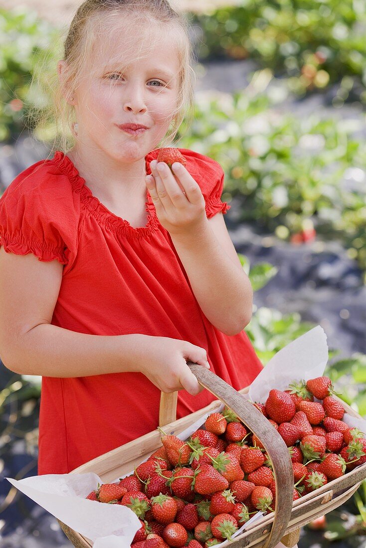 Mädchen nascht Erdbeere im Garten