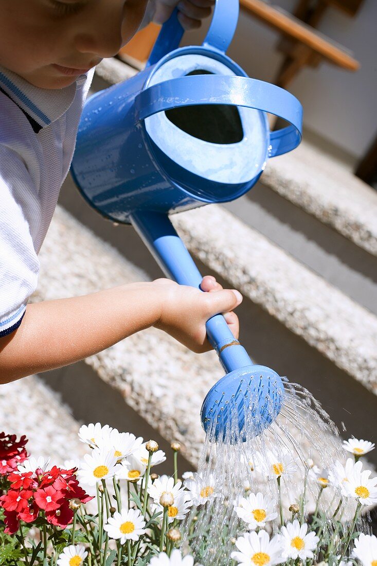 Kind giesst mit blauer Giesskanne Blumen vor dem Haus