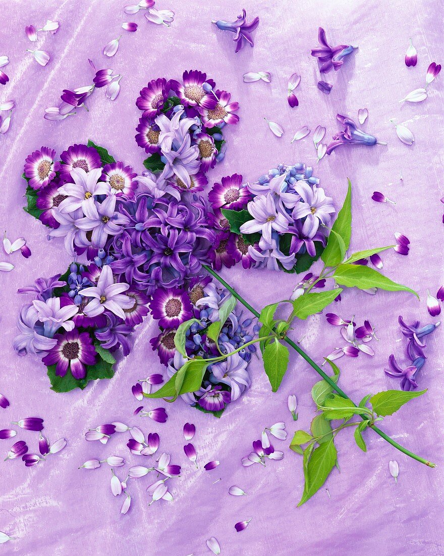 Flower formed from hyacinths, cineraria, grape hyacinths, jasmine
