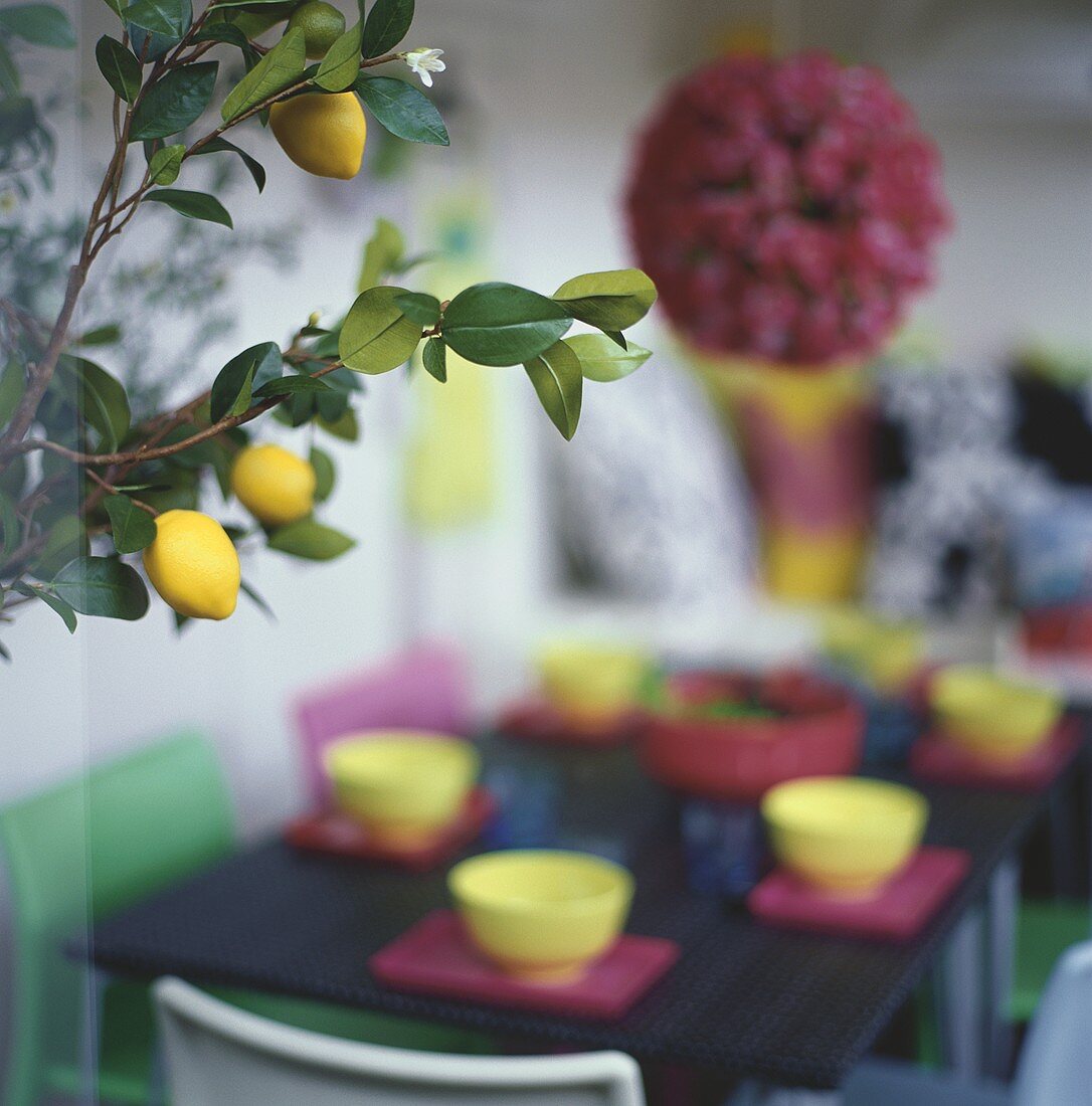 Zitronenbaum vor bunt gedecktem Tisch