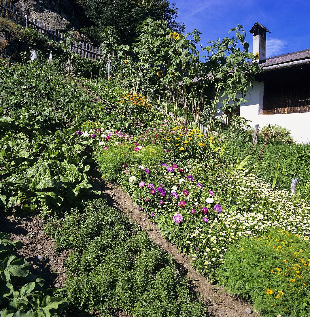 Garden with vegetables and flowers