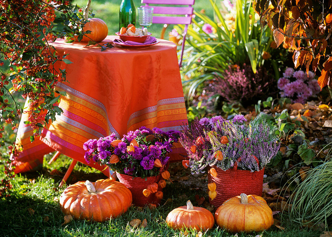 Tisch im Freien, davor Herbstblumen und Kürbisse