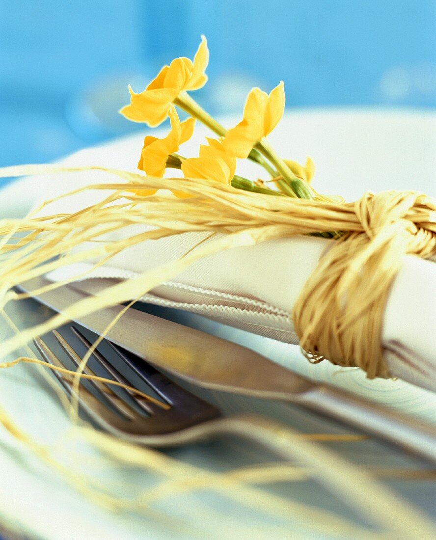 Place-setting decorated with narcissi