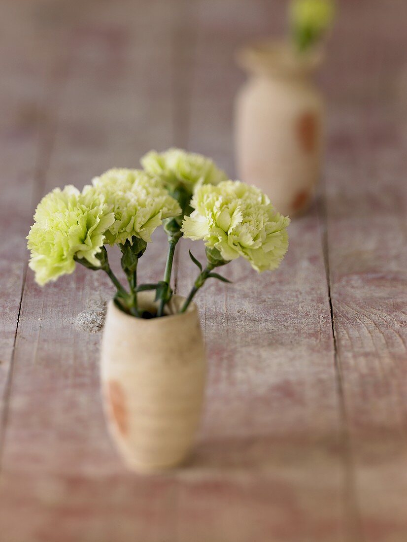 White carnations in small vase on wooden table