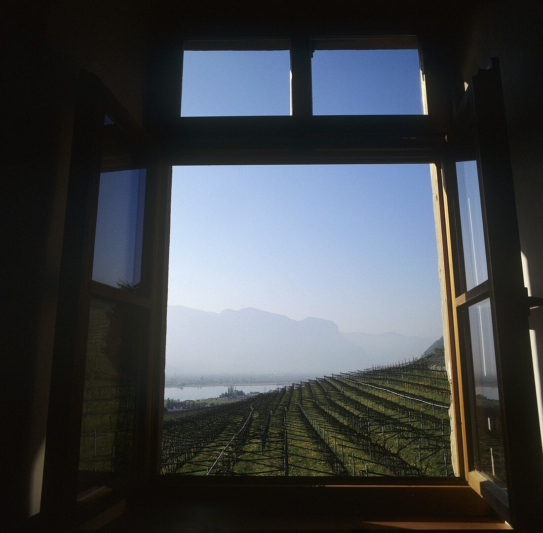Blick auf Castel Ringberg, Weingut Elena Walch, Südtirol
