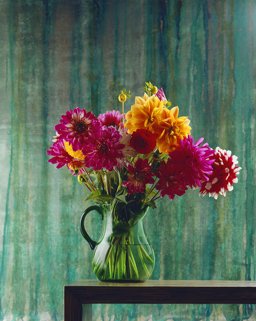 Dahlias in a jug