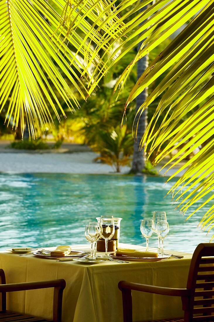 Gedeckter Tisch unter Palmen am Meer (Seychellen)