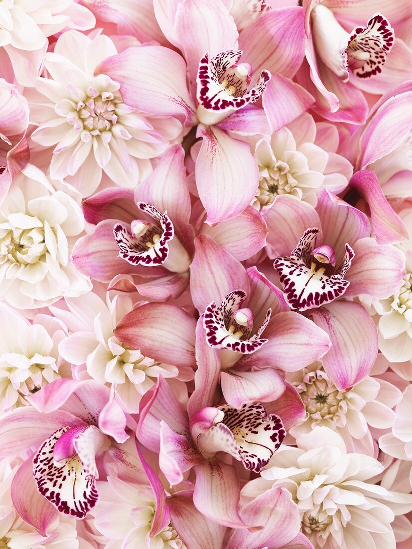 A bouquet of pink flowers (full-frame)