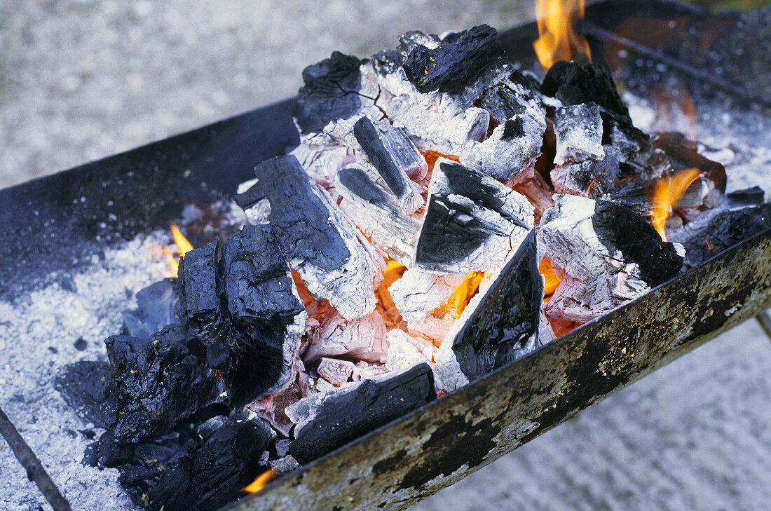 Brennende Holzkohle in einem Grill