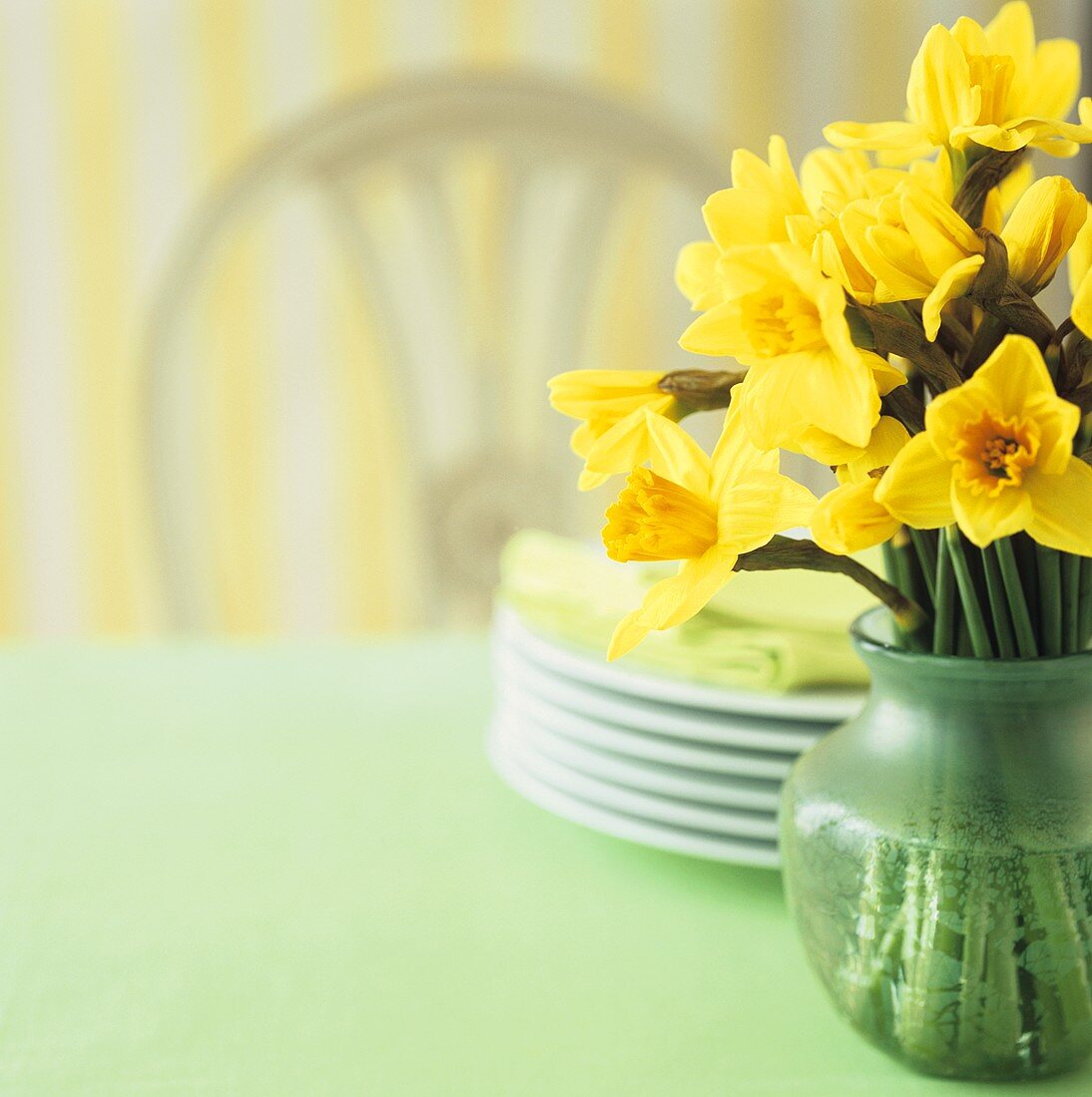 Vase of daffodils and pile of plates on a table