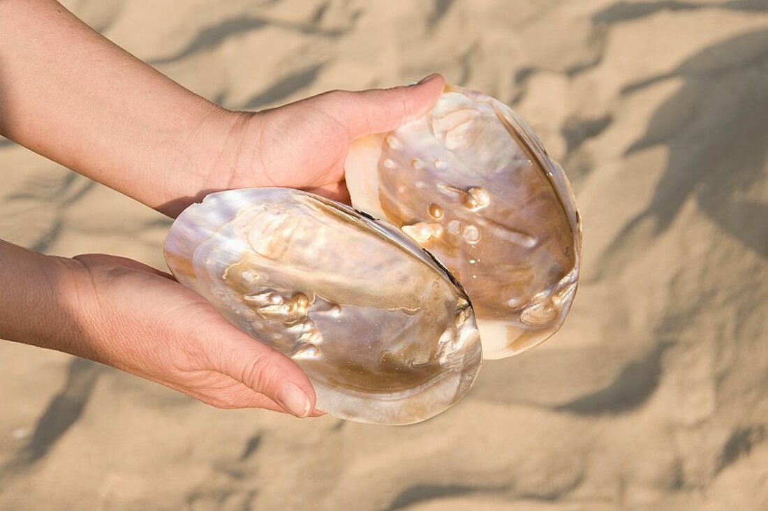 Frau hält am Strand Muschel mit Perlen in den Händen