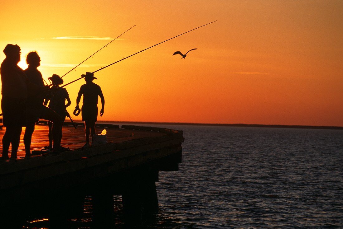 People Fishing Off of a Pier in Australia