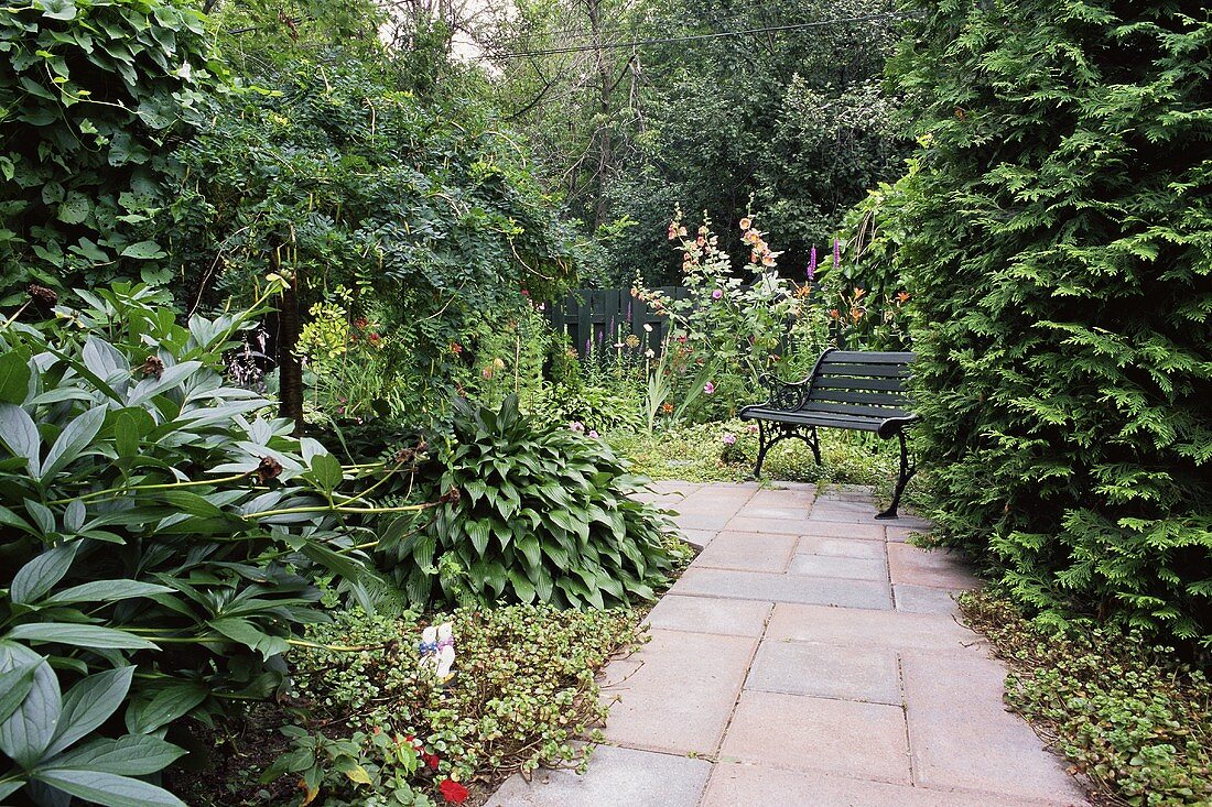 A bench on a garden path
