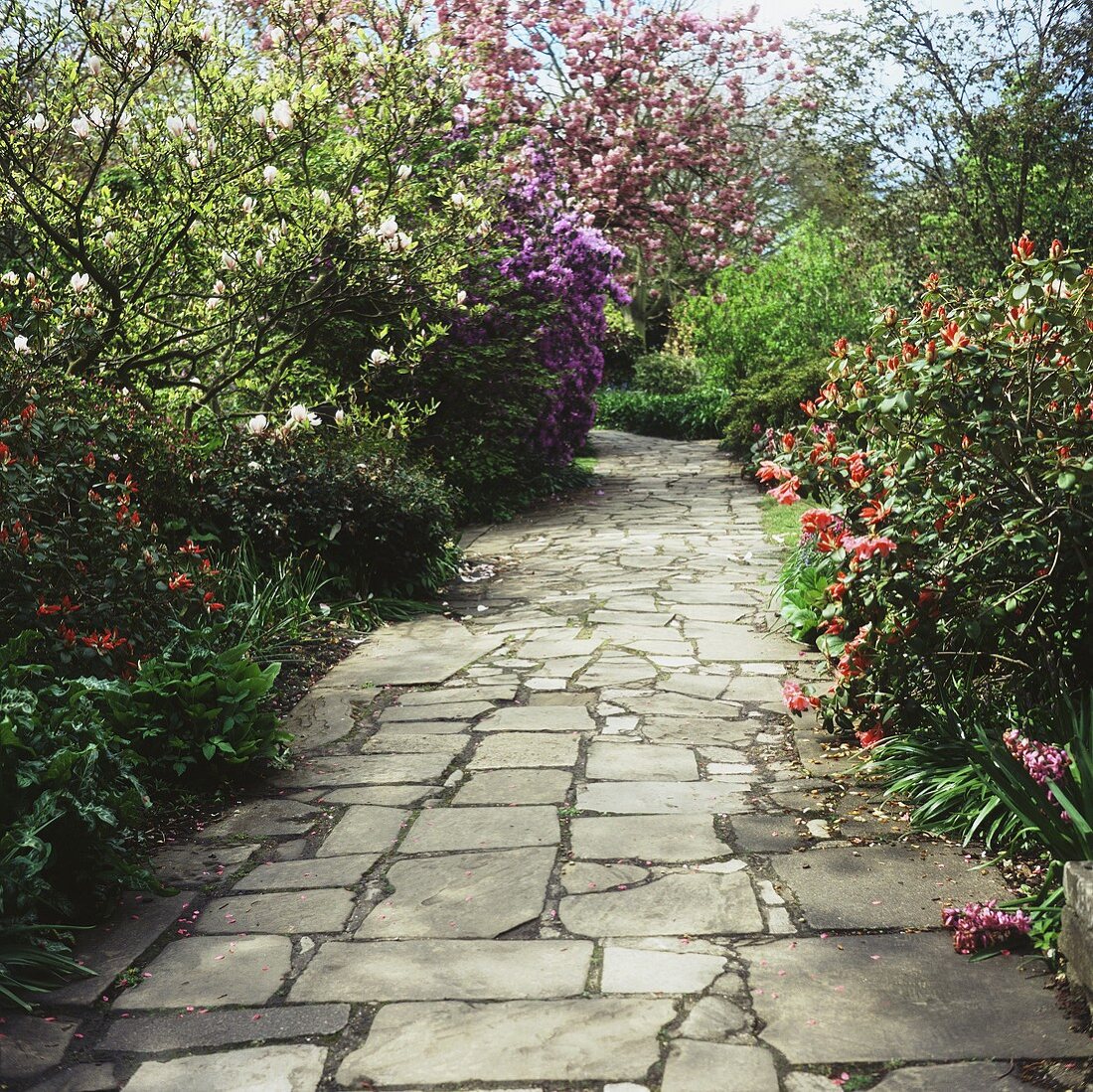 Path through a garden