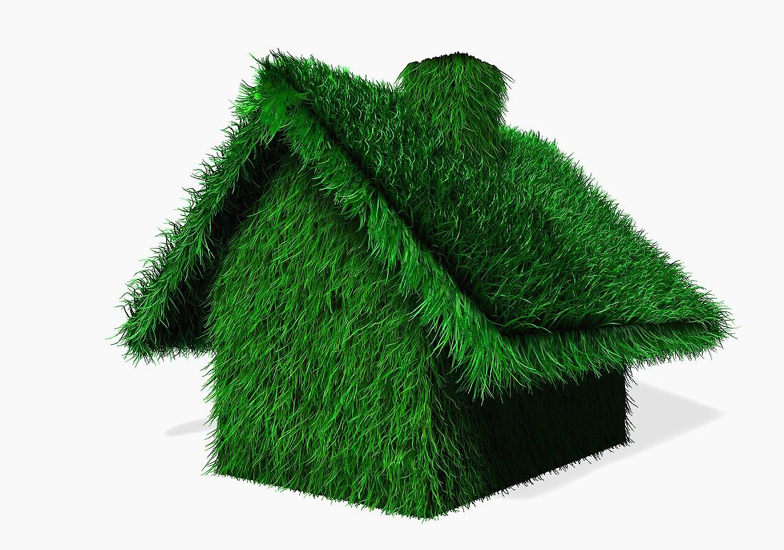 Grass covered house