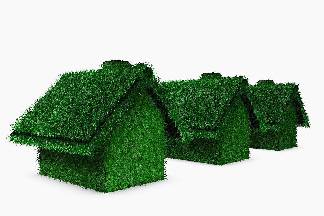 Gras bedeckt Häuser in einer Reihe