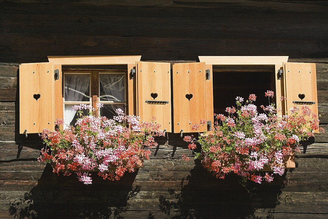Blumen vor einem Schweizer Haus