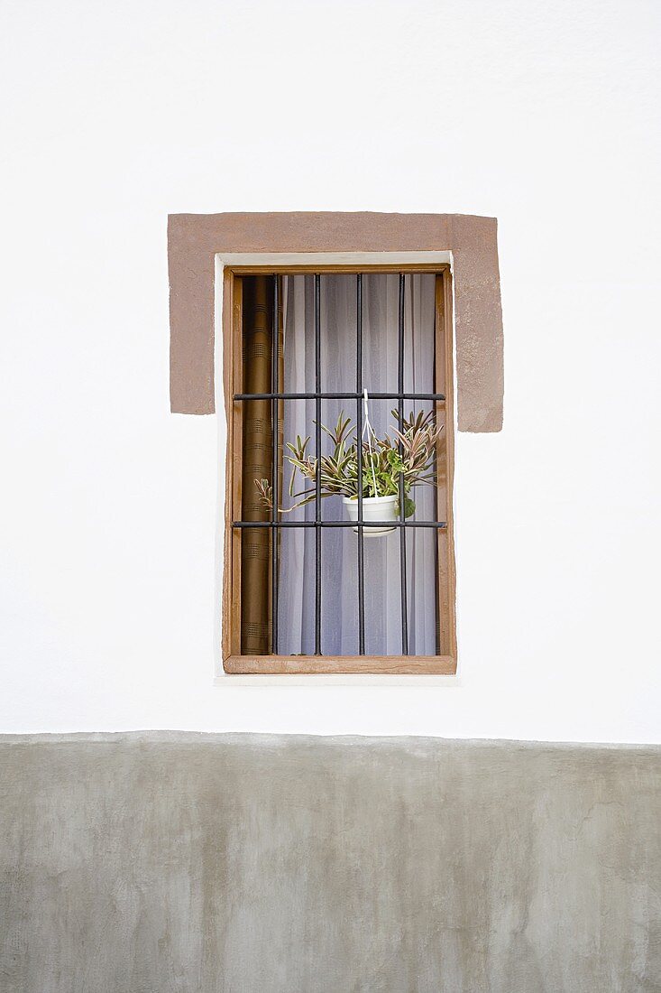 A plant pot hanging on window bars