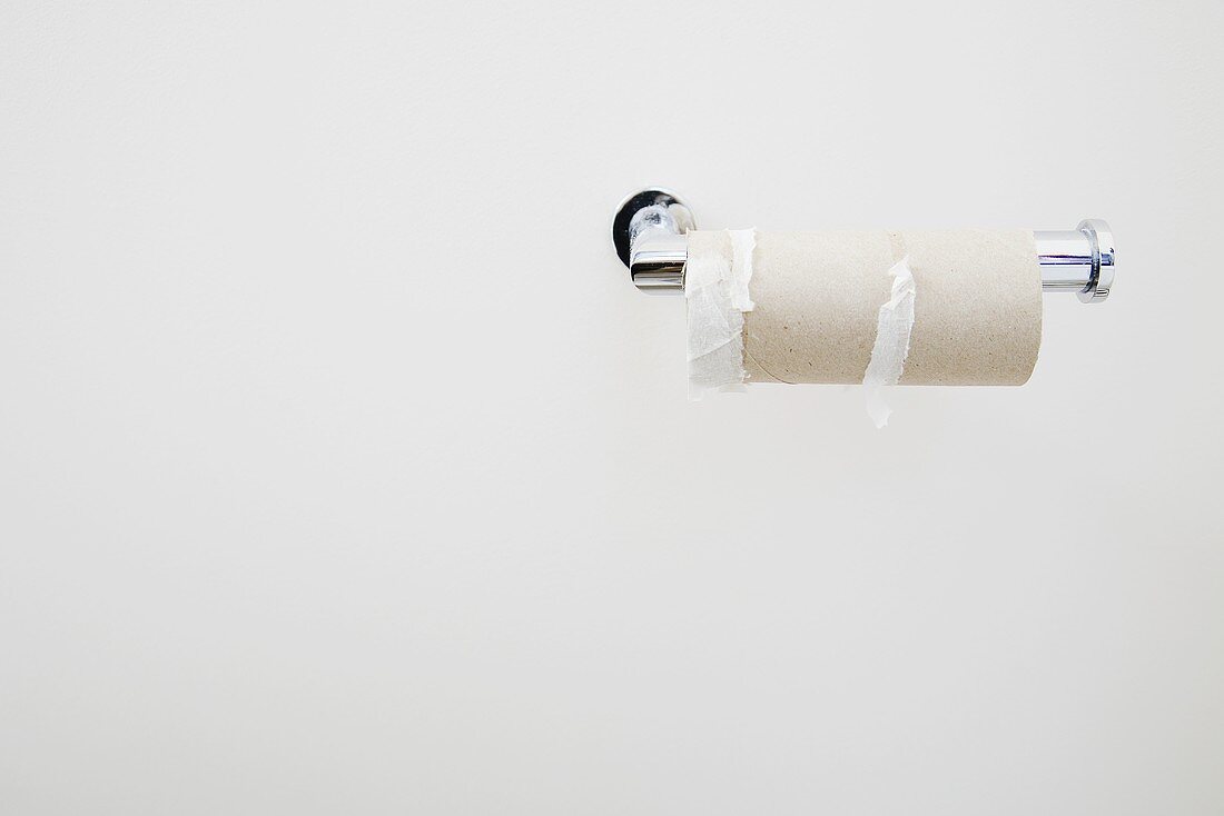 Leere Toilettenpapierrolle