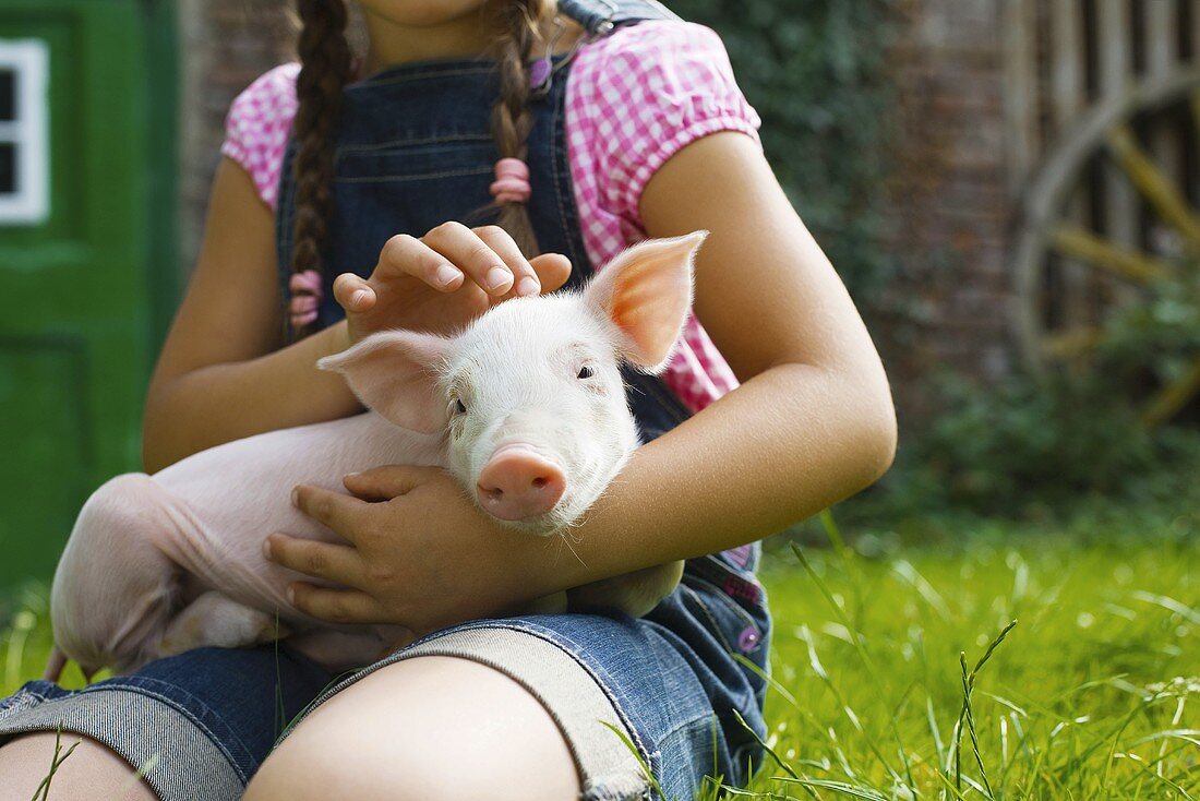 Ein Mädchen hält ein Ferkel