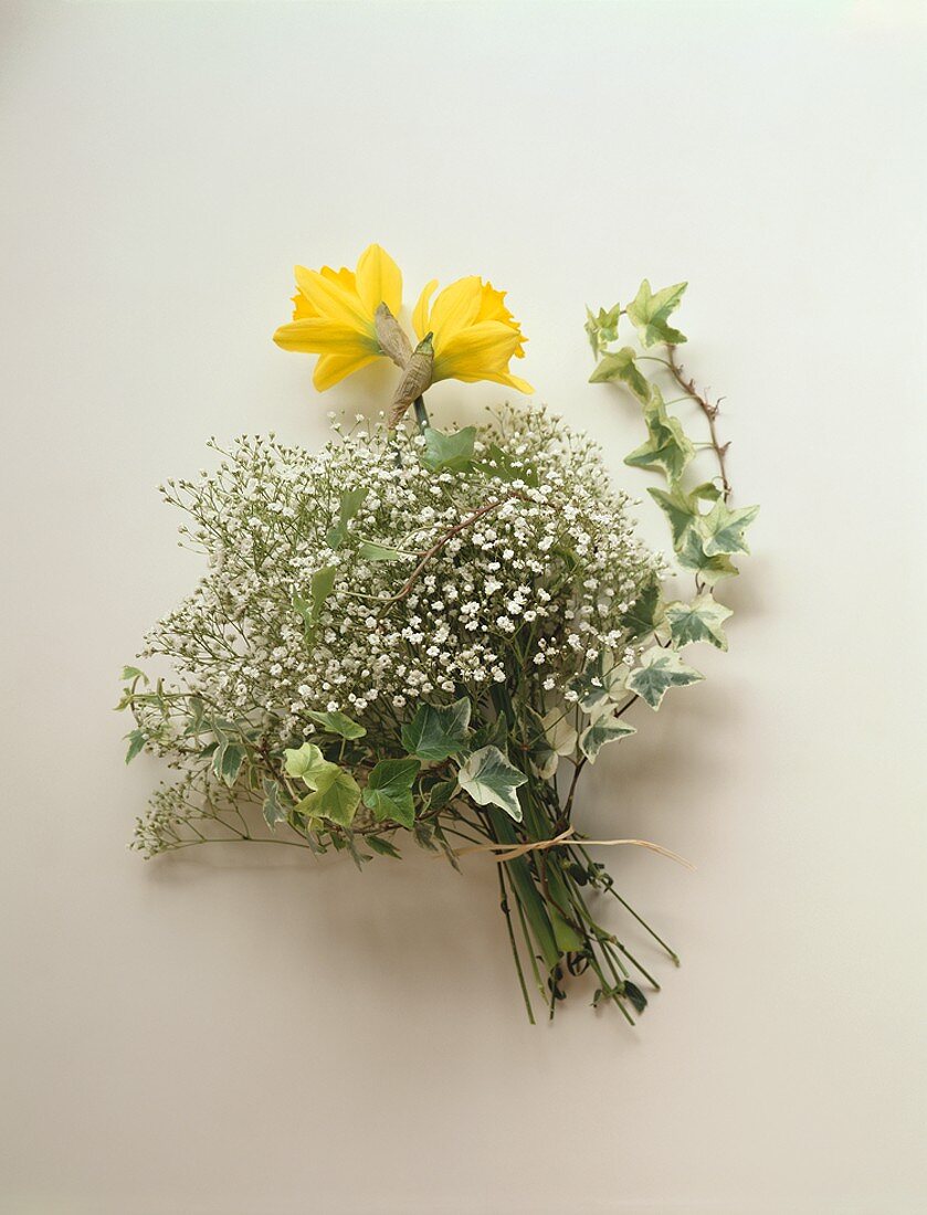 Spring bouquet of daffodils, gypsophila and ivy