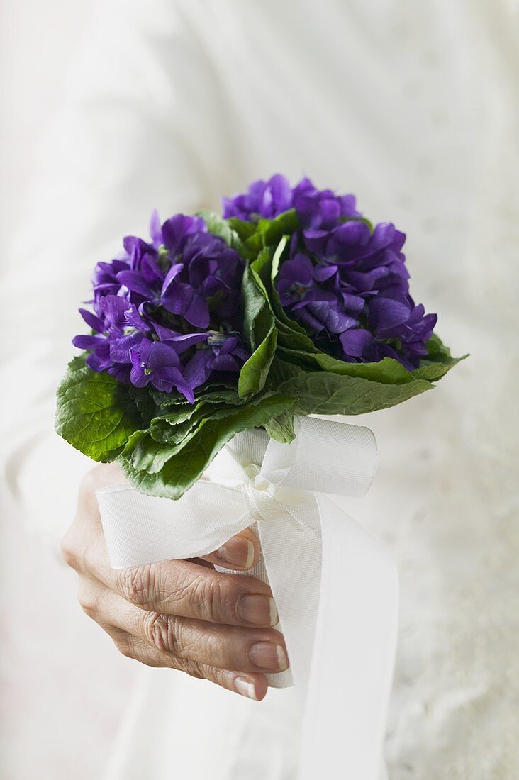Bunch of violets with white bow
