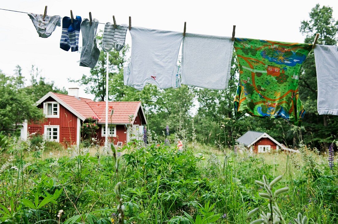 Washing lines in a garden with wooden houses in the background (Scandinavia)